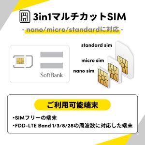 SoftBank 日本用SIM LTE/月 1...の詳細画像2