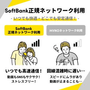 SoftBank 日本用SIM LTE/月 1...の詳細画像3
