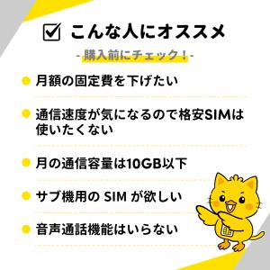 SoftBank 日本用SIM LTE/月 1...の詳細画像4