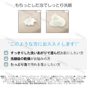 洗顔フォーム 2コセット クレンジング フロム...の詳細画像2