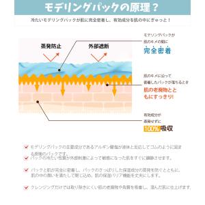 【 8コセット 】モデリングパック 8種類セッ...の詳細画像5