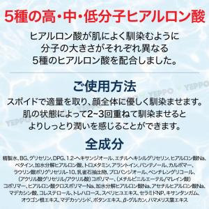 【2コ】Torriden トリデン ダイブイン...の詳細画像2