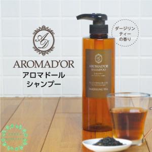 サラメンテ エテルノシャンプー 1000ml リフィル ボリュームシャンプー