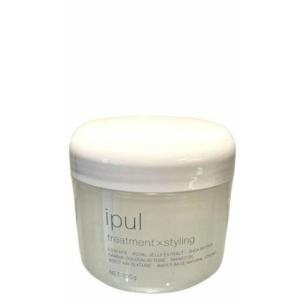 5個セット 千代田化学 デラクシオ イプル 300g リフィル 詰め替え用