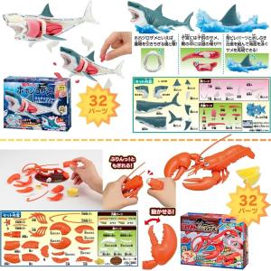 ＼ 解体パズル 海を楽しむ満喫セット / 本マ...の詳細画像4