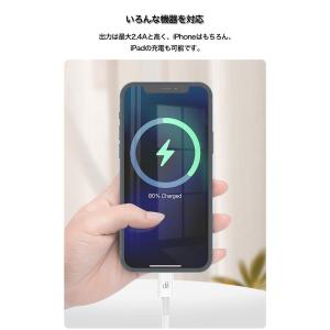 Lightningケーブル MFi認証 App...の詳細画像3