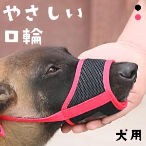 anifull 公式】保定のできる犬型医療シミュレーター しばわん 保定