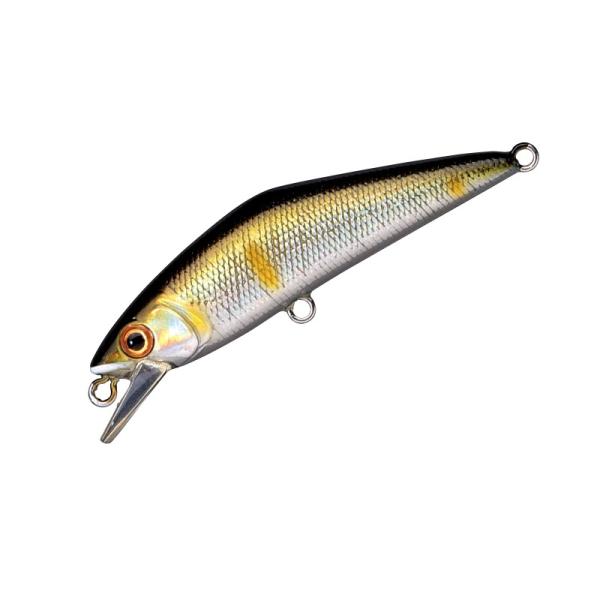 スミス　D-コンタクト72 14 アユ