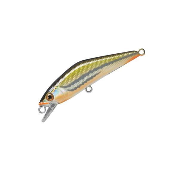 スミス　D-コンタクト50 31 ウグイ