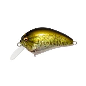 Megabass（メガバス） イマカツ IXI アイバイアイブローリー スーパー