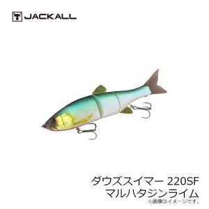 ジャッカル ダウズスイマー180SF マルハタゴーストチャート