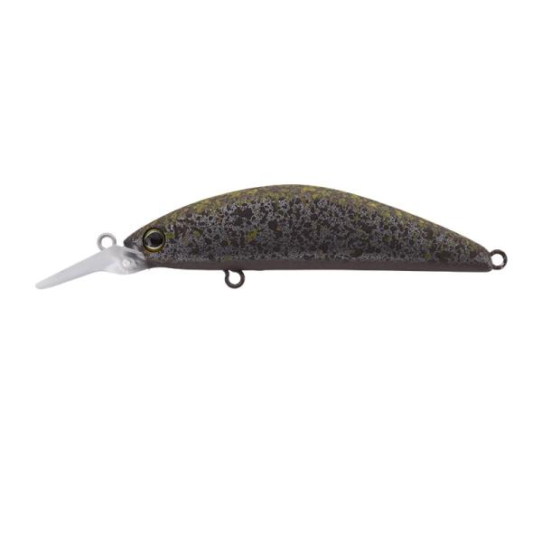 ティモン　C&amp;RトリコロールGT 56MD-F シルペレ