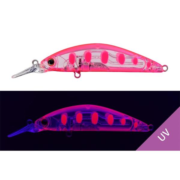 ティモン　C&amp;RトリコロールGT 56MD-F スケピンヤマメ