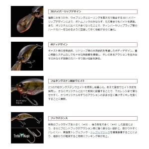 エバーグリーン ワイルドハンチ8フッター #2...の詳細画像1