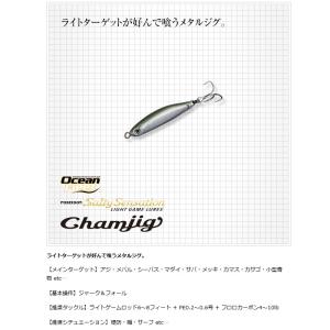 エバーグリーン チャムジグ5.0g #854 ...の詳細画像1