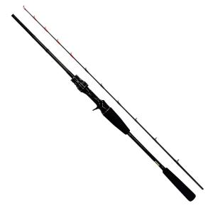DAIWA（ダイワ） スピニングリール 18 レガリス LT 3000S-C-DH / 釣具