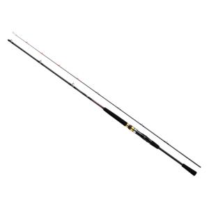 DAIWA（ダイワ） インターライン シーフレックス64 30-270 / 中通し 船