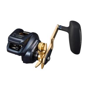 Gamakatsu （シーバス） がまかつ ラグゼ SALTAGE リフレックス