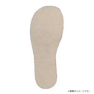 エクセル PFP-9 PREMIUM 鮎タビ(...の詳細画像2