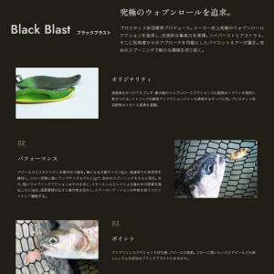 ヴァルケイン ブラック ブラスト 1.3g N...の詳細画像1