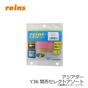レイン アジアダー Y36 関西セレクトアソートの詳細画像1