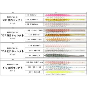 レイン 魚卵アジアダー Y79 九州セレクトアソートの詳細画像1