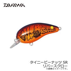 RaPaLa（ラパラ） ジャイアントルアー DT 60cm 巨大クランクベイト
