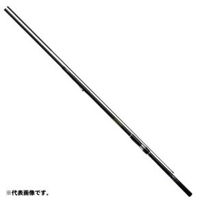 DAIWA（ダイワ） 20 インターライン シーパラダイス MH-400・R