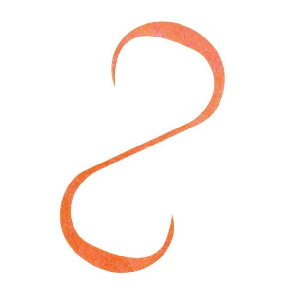 シマノ　ED-R08Y バタバタカーリー 007 ホロオレンジ