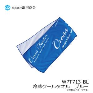 浜田商会 WPT713-BL 冷感クールタオル...の詳細画像1