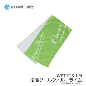 浜田商会 WPT713-LM 冷感クールタオル...の詳細画像1