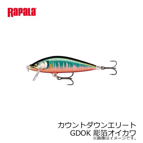 ラパラ　カウントダウンエリート CDE75-GDOK 彫箔オイカワ