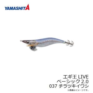 ヤマシタ　エギ王 LIVE 2.0 037 チラツキイワシ ナチュラル布 銀デザインホロ+490グロー｜釣具のFTO