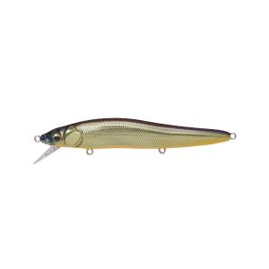 DAIWA（ダイワ） タトゥーラ エリートTATULA ELITE 721MHRB Randy
