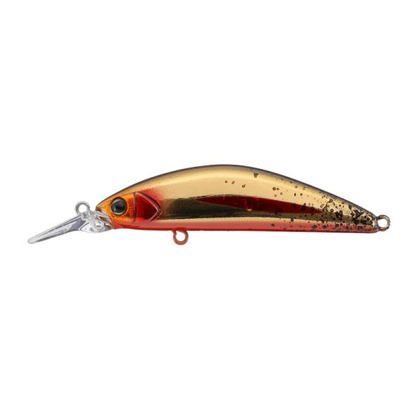 ティモン　C&amp;RトリコロールGT 56MD-F HLゴールデントラウト