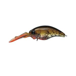 エバーグリーン☆ワイルドハンチ☆シークレットチャート#251 : ルアー