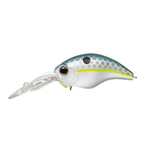 EverGreen エバーグリーン DDエックスオーバー #447 ブラウン