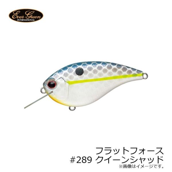 エバーグリーン　フラットフォース #289 クイーンシャッド　/バスルアー シャロー フラットサイド...