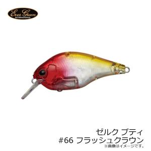 EverGreen（エバーグリーン） ゼルクプティ : バックラッシュYahoo!店