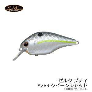 EverGreen（エバーグリーン） ゼルクプティ : バックラッシュYahoo!店