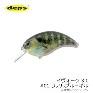 DAIWA（ダイワ） ブラックレーベル BLX LG 6102MRB(ベイト) ndrod01