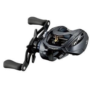 DAIWA（釣り） ○ダイワ 23 スティーズ A II TW 1000H （右
