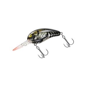 エバーグリーン インスピラーレ RSR-C70XHX ラピッドガンナーRSR