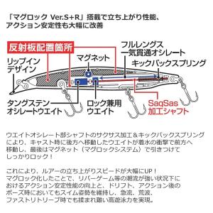 ダイワ ショアラインシャイナーZバーティスR ...の詳細画像4