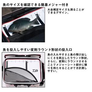 ダイワ プロバイザー キーパーバッカンFD 4...の詳細画像2