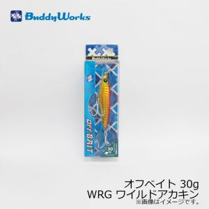 WRG バディーワークス メタルジグ ワイルドアカキン サーフ