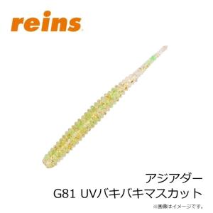 レイン アジアダー G81 UVバキバキマスカットの詳細画像2