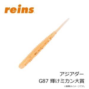 レイン アジアダー G87 輝けミカン大賞の詳細画像2