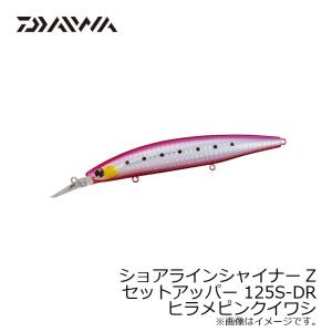 ダイワ　ショアラインシャイナーZ セットアッパー
