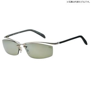 DAIWA ダイワ 偏光サングラス ！ケース付き DAIWA（ダイワ） 偏光サングラス TLX012 専用ケース＋クリーナー＋
